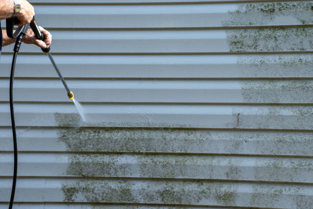 Best Yard Waste Removal  in Roslyn, NY
